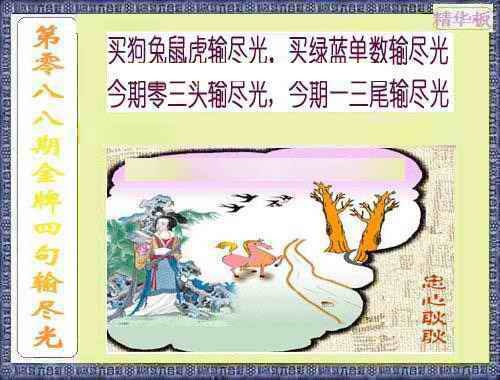 六合彩088期金牌四句输尽光