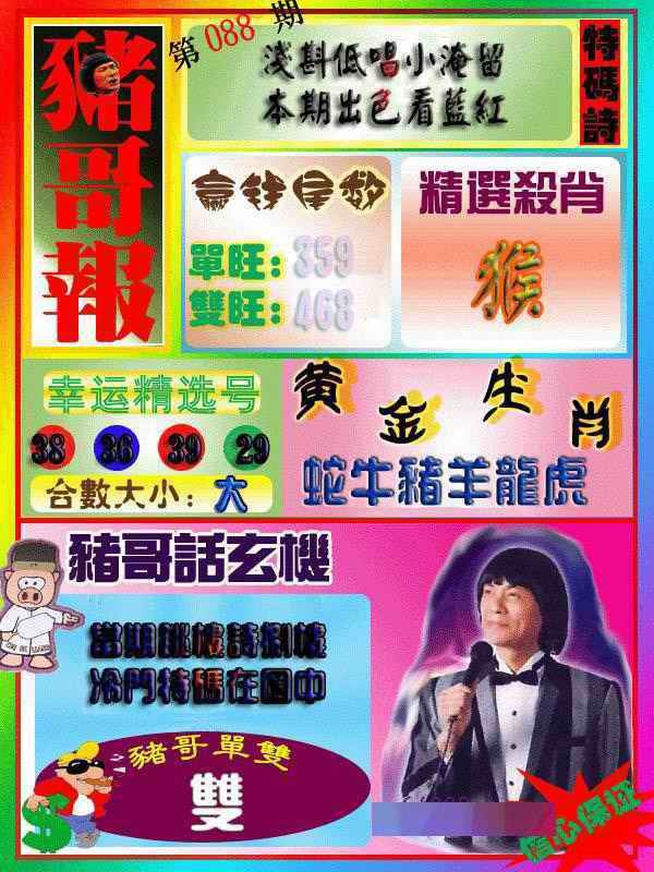 六合彩088期猪哥报
