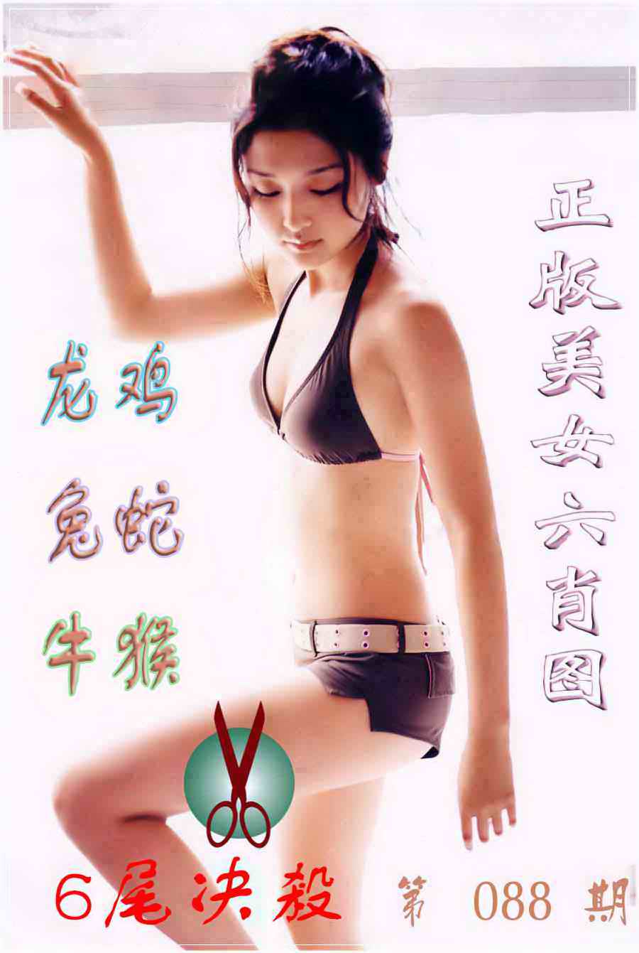 六合彩088期美女六肖图B