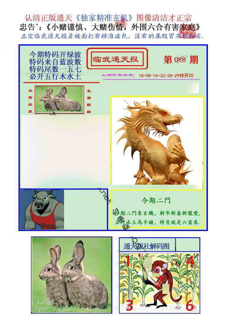 六合彩088期临武通天报