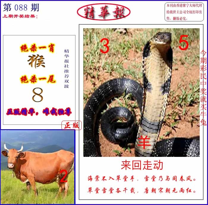 六合彩088期新精华报报