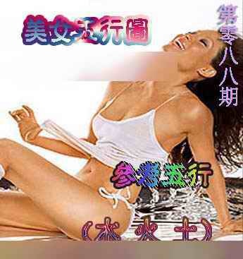 六合彩088期美女五行图