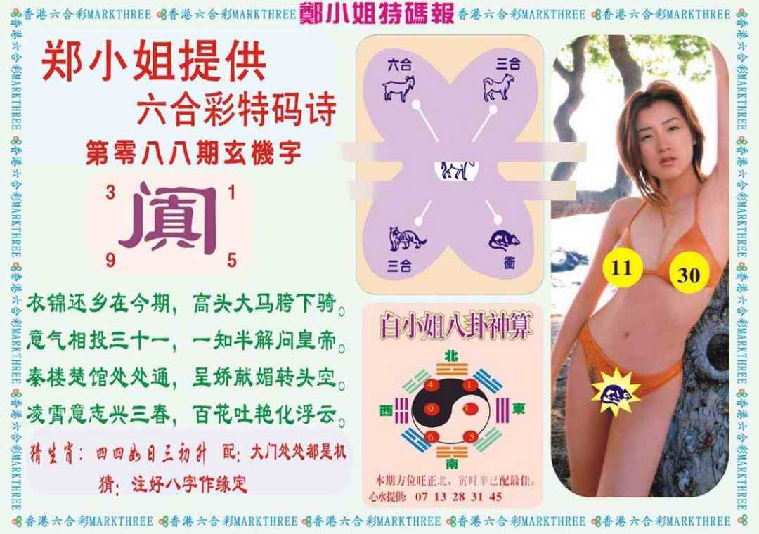 六合彩088期郑小姐特码报B