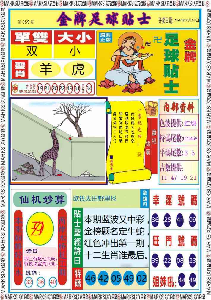 六合彩089期金牌足球贴士记录