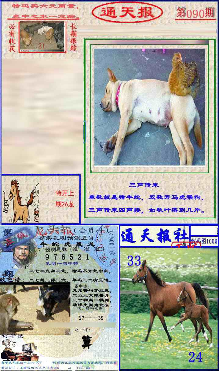六合彩090期实力通天报