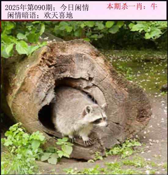 六合彩090期今日闲情