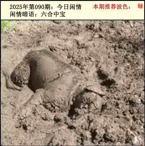 六合彩090期今日闲情2