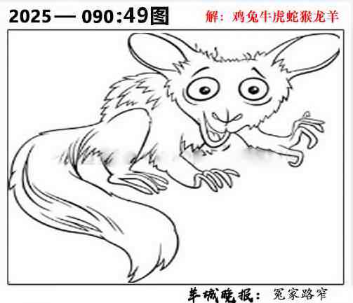 六合彩090期49图