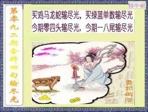 六合彩092期金牌四句输尽光