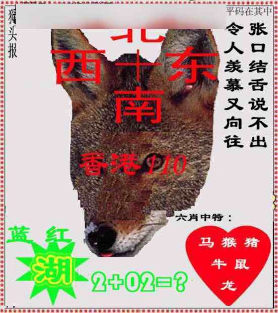 六合彩094期狗头报
