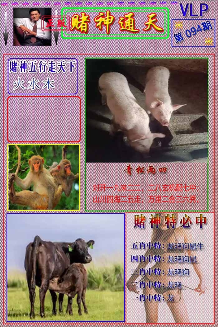 六合彩094期赌神通天报