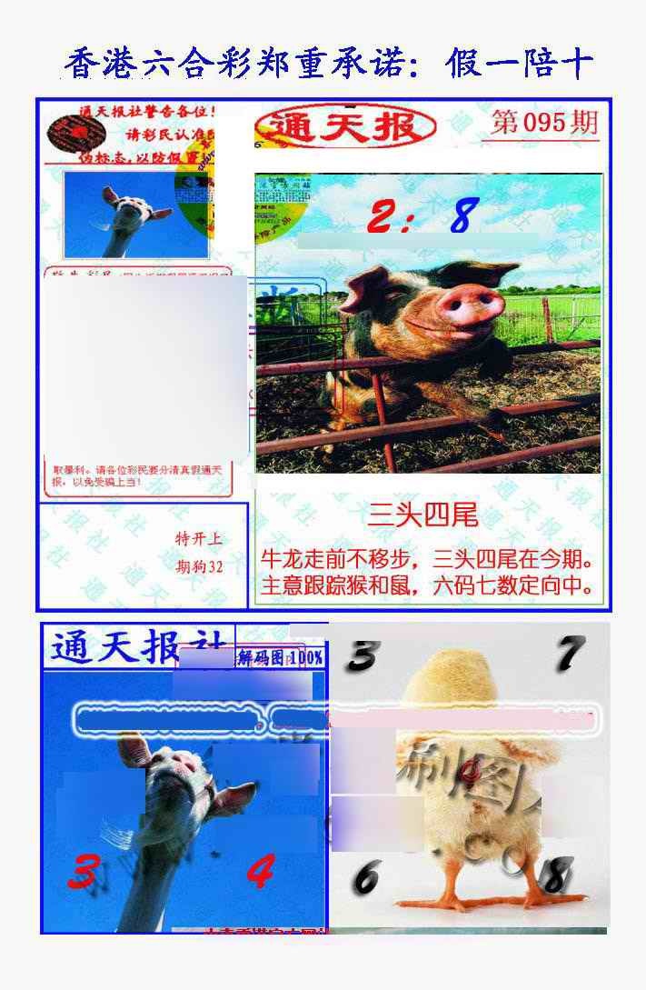 六合彩095期假一陪十通天报