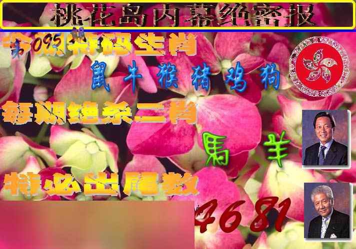 六合彩095期桃花岛内幕报