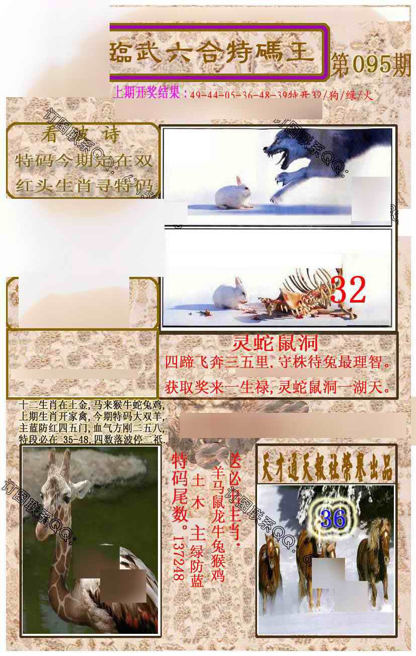 六合彩095期临武六合特码王