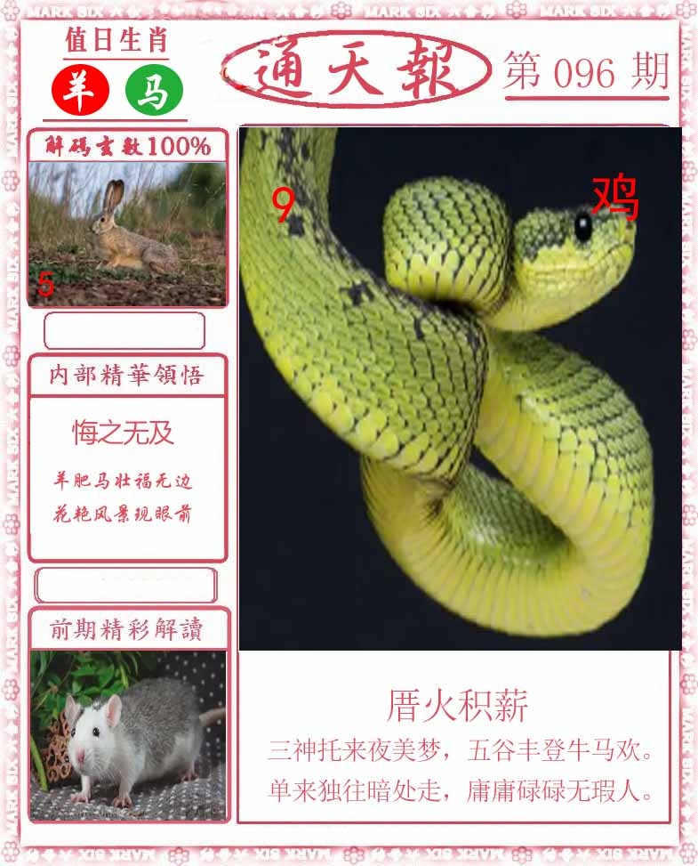 六合彩096期正版通天报