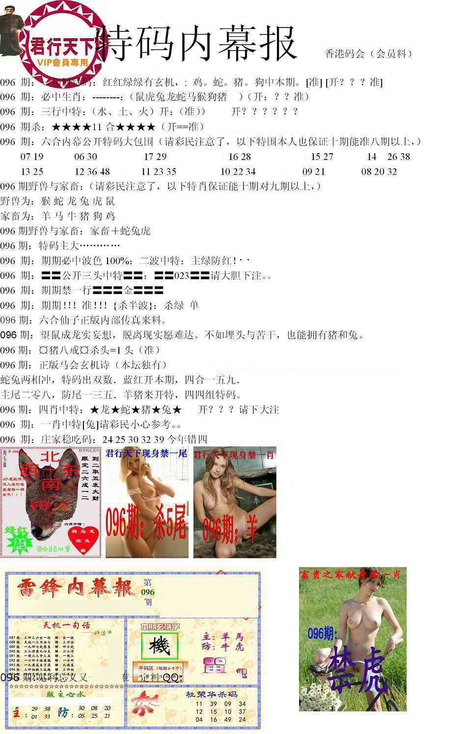 六合彩096期特码内幕报