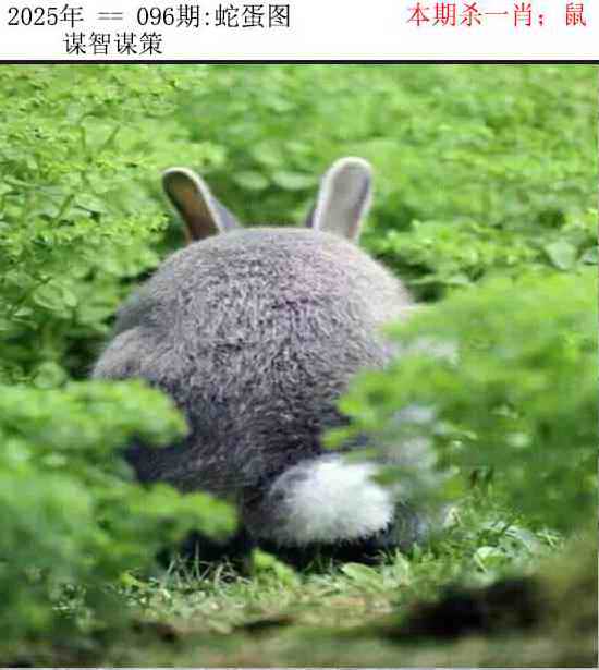 六合彩096期正版蛇蛋图