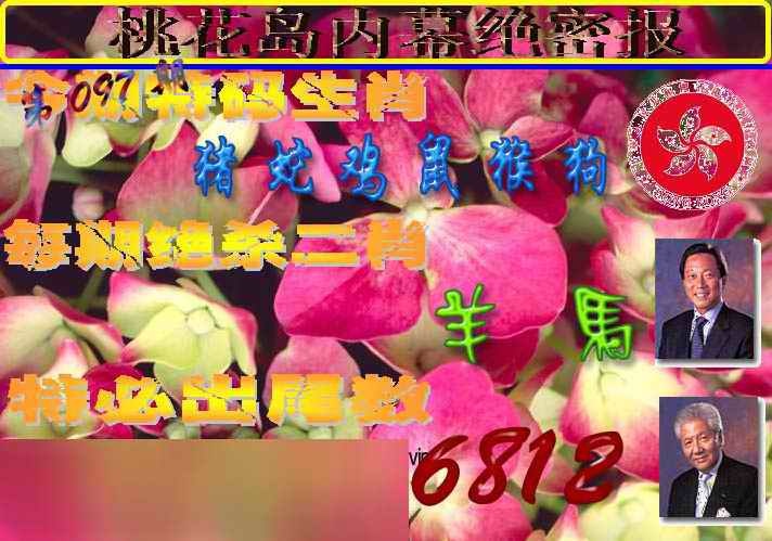 六合彩097期桃花岛内幕报