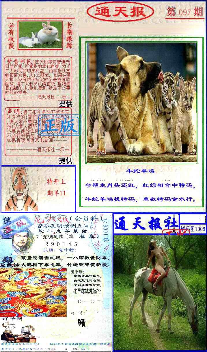 六合彩097期实力通天报