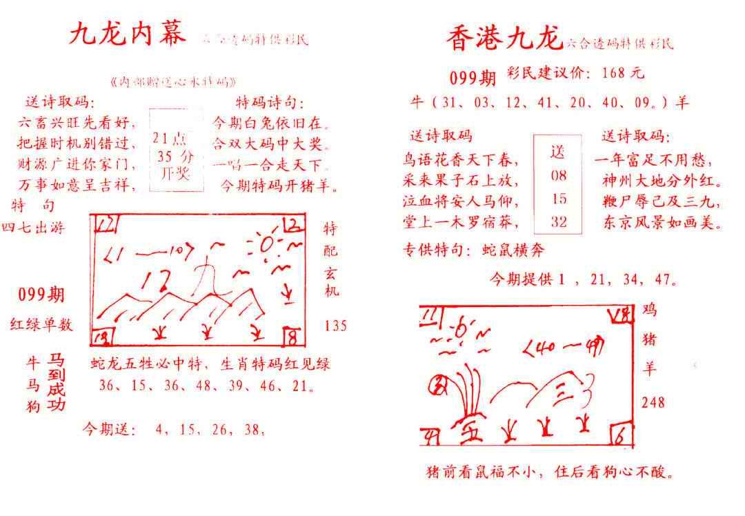 六合彩099期九龙内幕