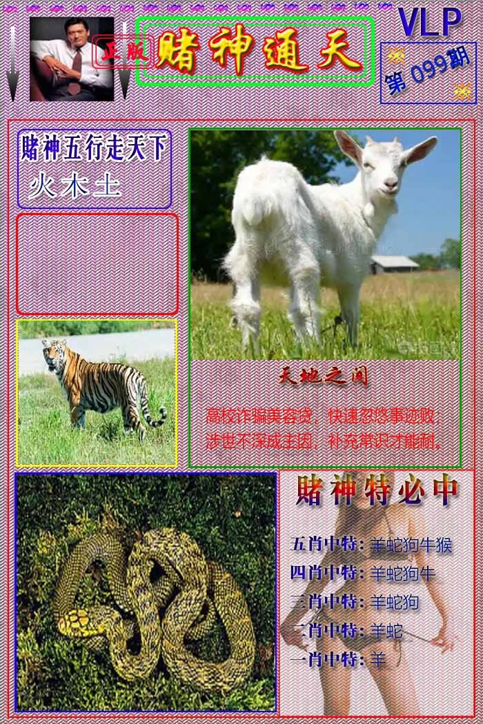 六合彩099期赌神通天报