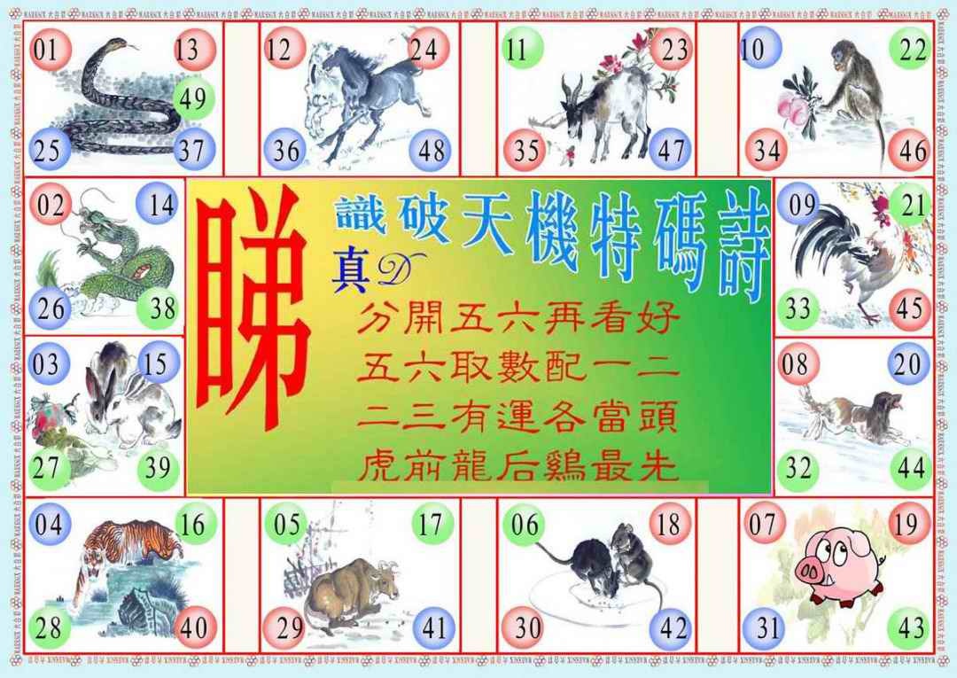 六合彩099期识破天机B版