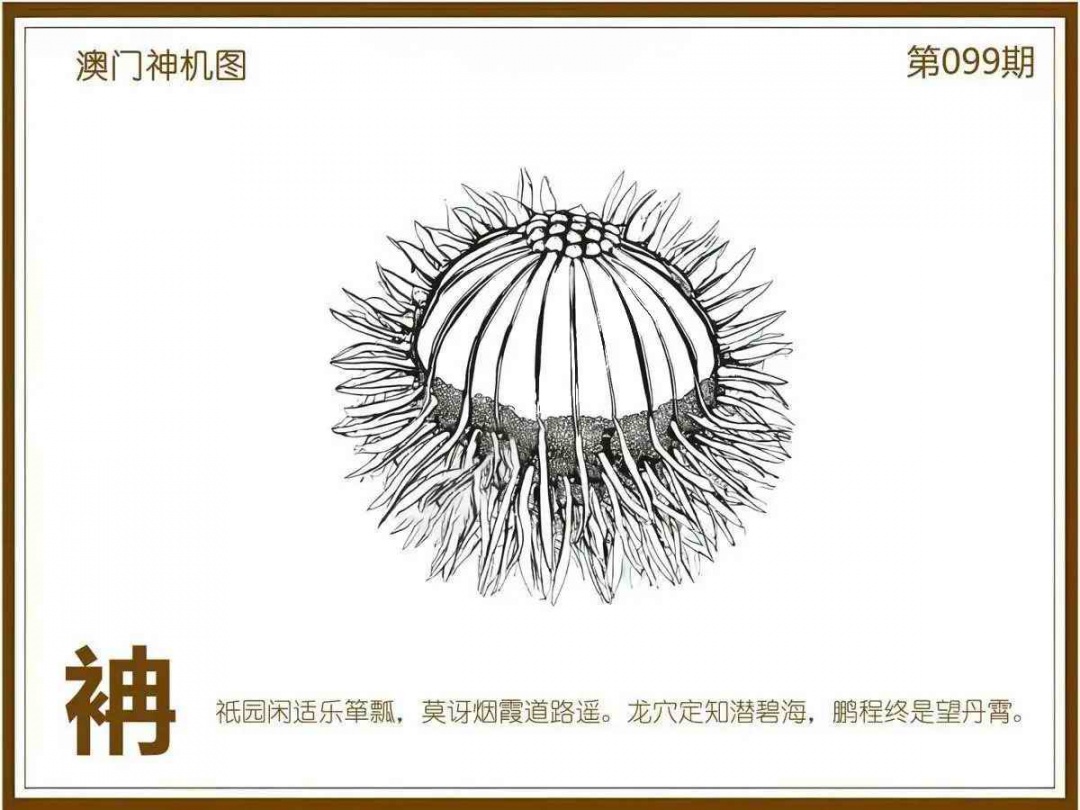 六合彩099期澳门神机图